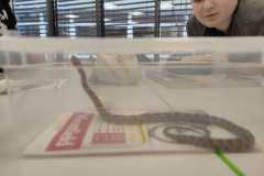 PHOTO-2025-11-17-14-27-14