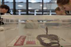 PHOTO-2025-11-17-14-27-14_1