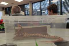 PHOTO-2025-11-17-14-27-14_2