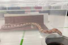 PHOTO-2025-11-17-14-27-15_2