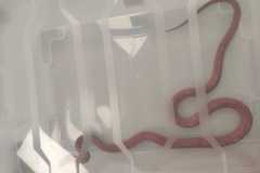 PHOTO-2025-11-17-14-27-15_3