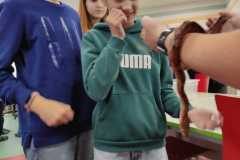 PHOTO-2025-11-17-14-27-19_1