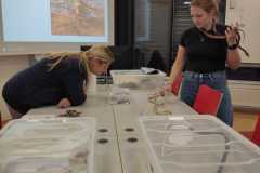 PHOTO-2025-11-17-14-27-20