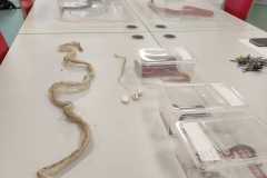 PHOTO-2025-11-17-14-27-20_2